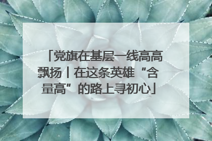 党旗在基层一线高高飘扬丨在这条英雄“含量高”的路上寻初心